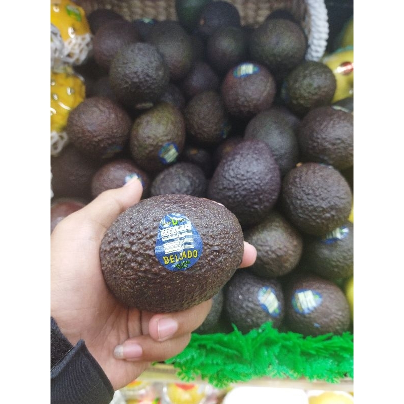 

ALPUKAT AUSTRALIA/ALPUKAT IMPORT AUSTRALIA 500grm