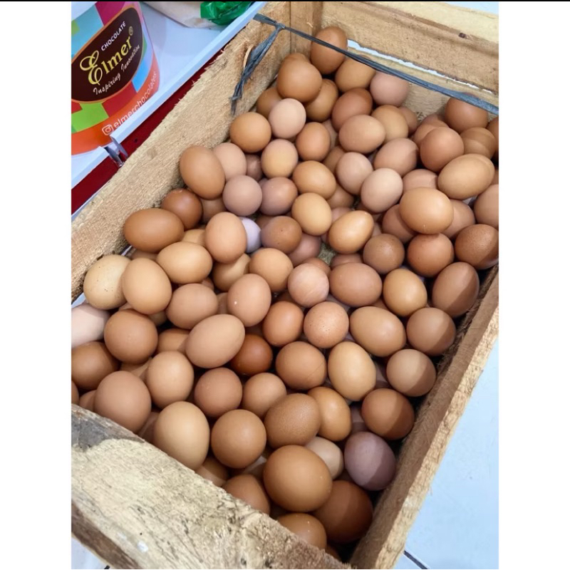 

telur ayam negeri 15kg