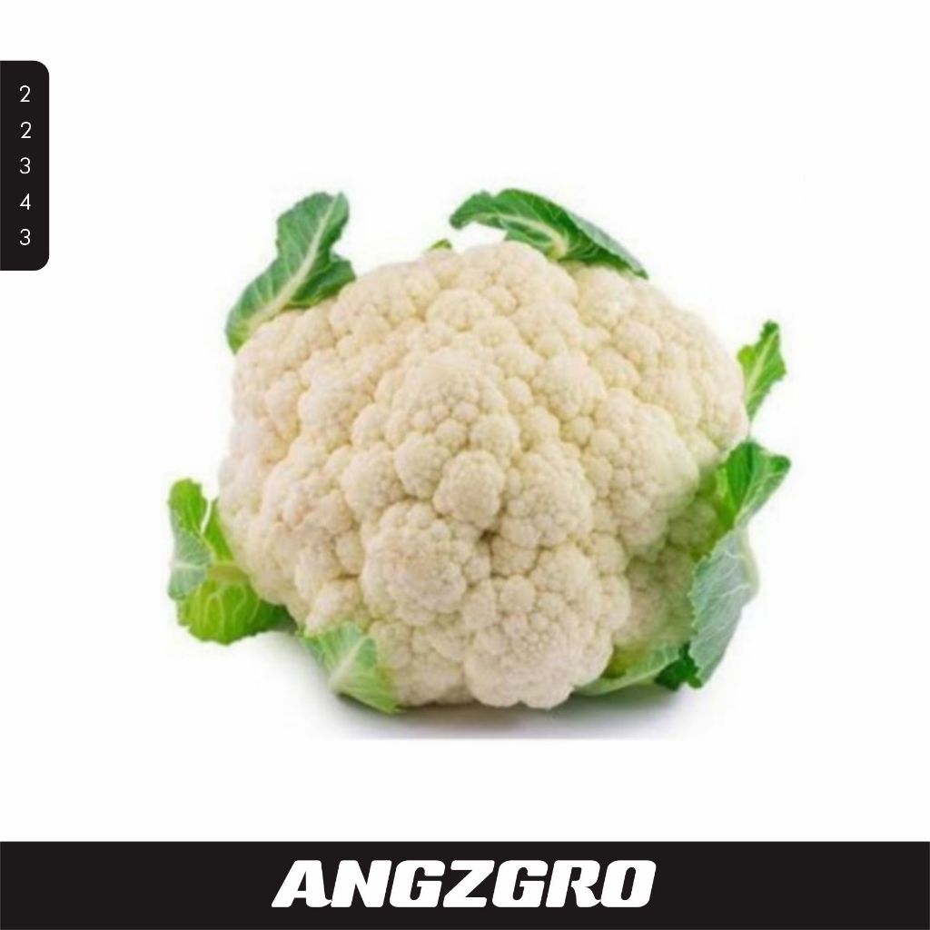 

Brokoli Putih 3 Jari 100 gr