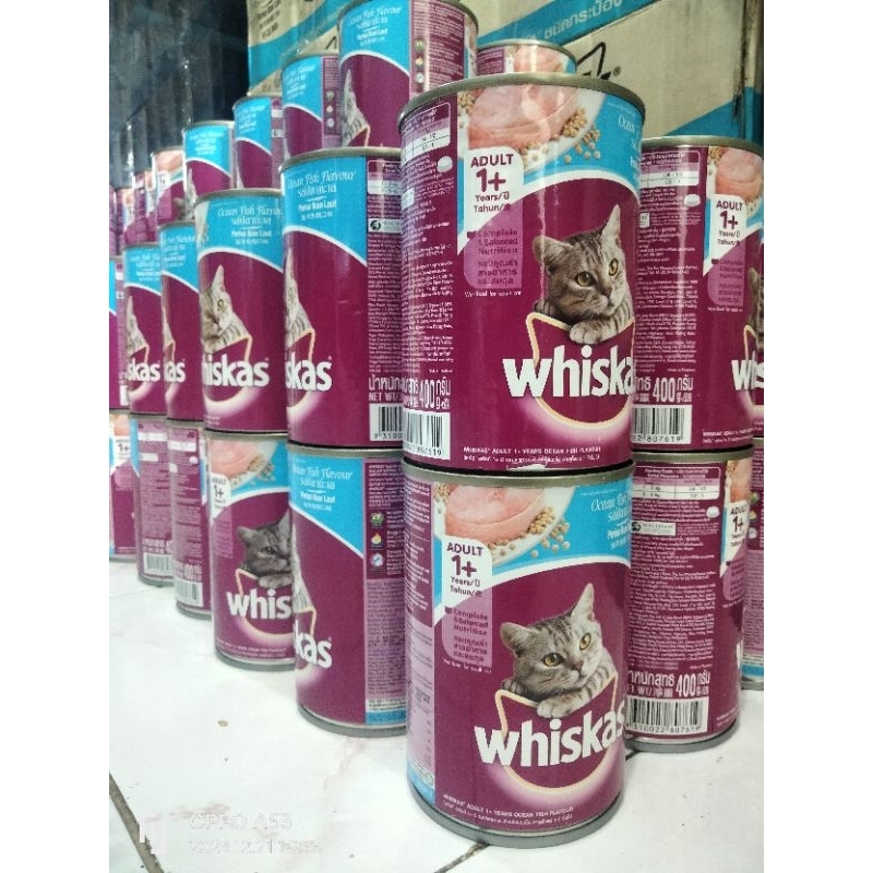 Makanan basah cat food