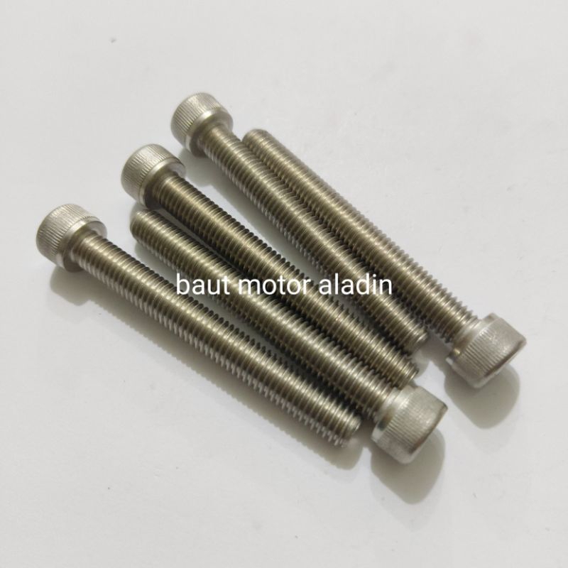 Baut 12/M8x65mm Stainless Kunci L6