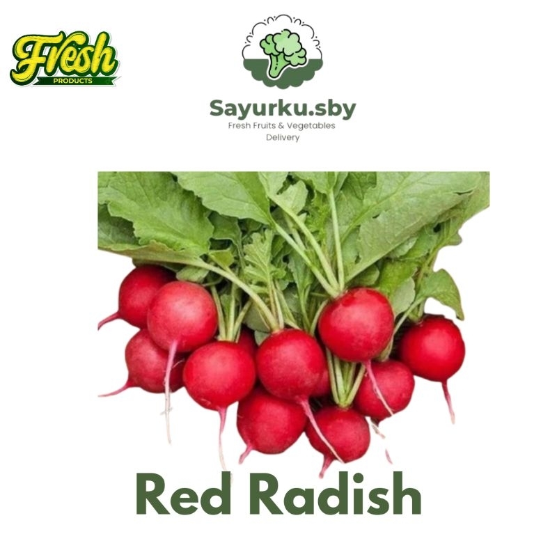 

Sayurku.sby(bisa kirim instan) Red Radish /Lobak merah FRESH PREMIUM