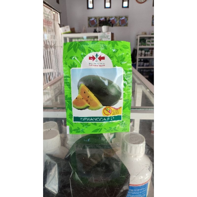 BENIH SEMANGKA KUNING VARIETAS DEWANGGA F1 10 GRAM