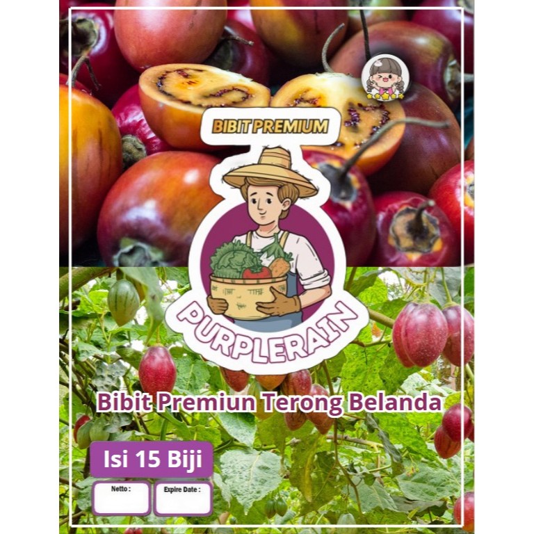 Bibit Premium Terong Belanda Kualitas Pilihan | Benih Terong Belanda