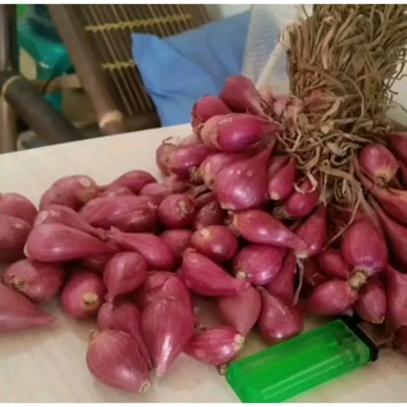 

Bawang merah 1kg