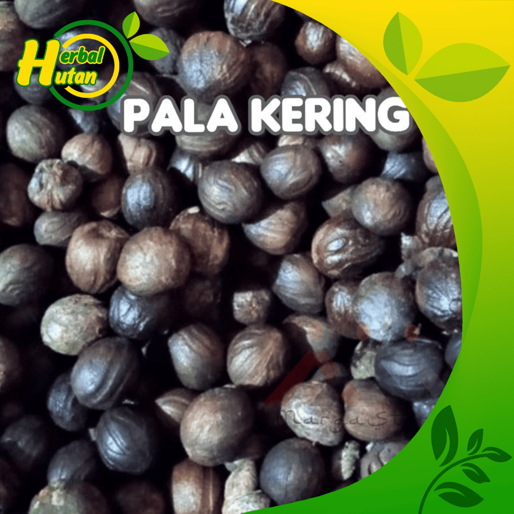 

Biji Pala Tua Kering 1 Kg kualitas Super