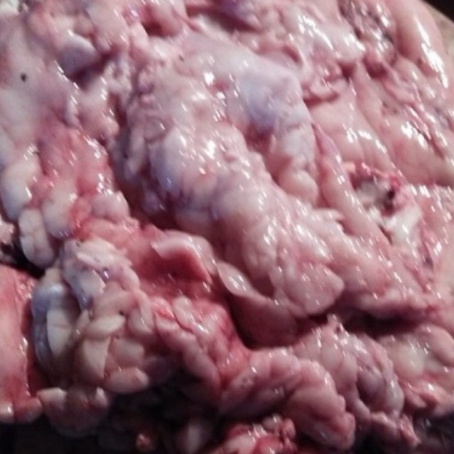 

Gajih Cilok Gajih Ginjal Buat Cilok Dan lainnya 500g