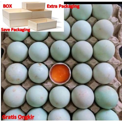 

Telor bebek mentah murah Langsung dari ternak gratis packing extra aman