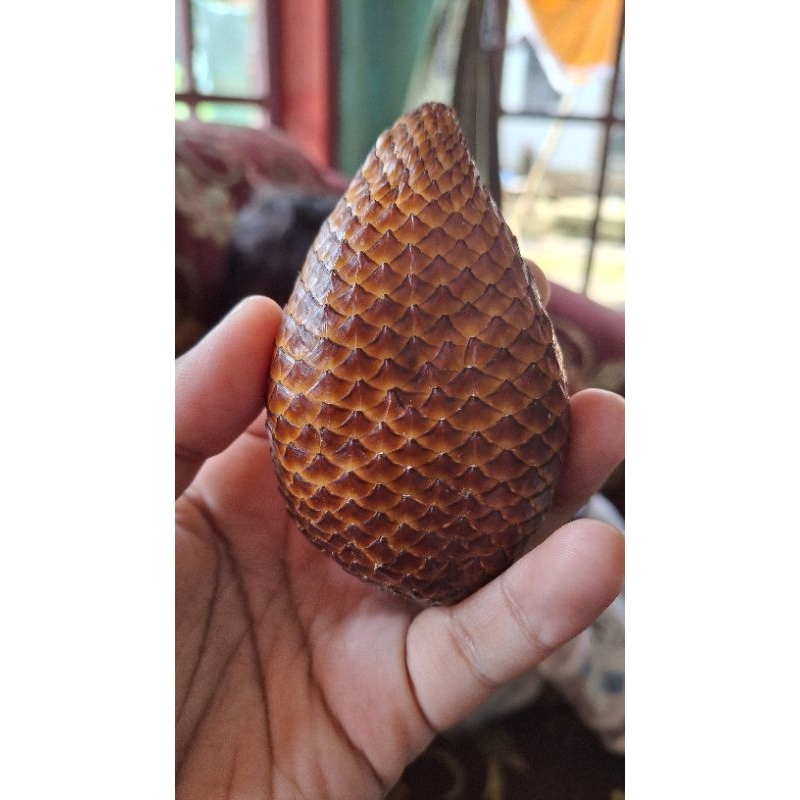 

BUAH SALAK 500GR