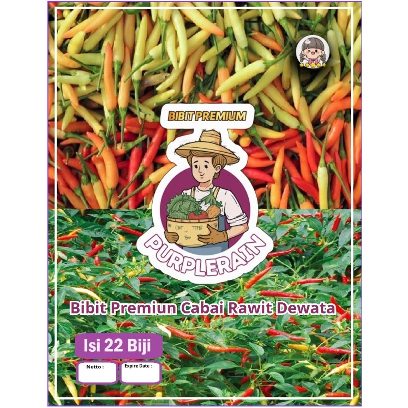 Bibit Premium Cabe Rawit Dewata Sini Suka | Biji Benih Cabe Rawit