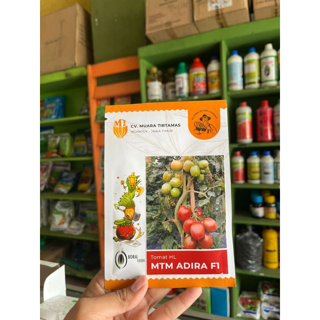 benih tomat MTM Adira F1 isi 10 gram/benih tomat unggul