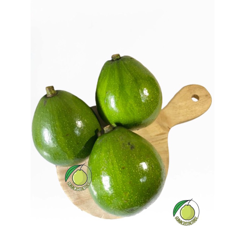 

alpukat miki 1 kg