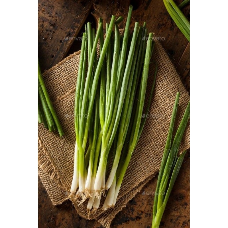 

daun bawang segar 200gr