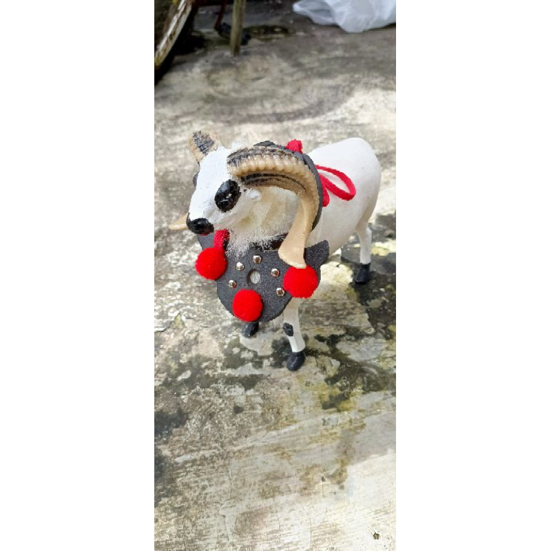 Miniatur domba garut terbaik