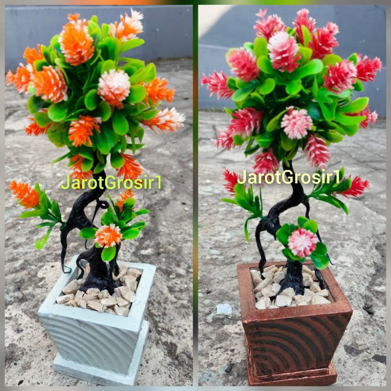 BONSAI PLASTIK BOLA MEJA TINGGI 25CM // BONSAI PINUS IMPORT