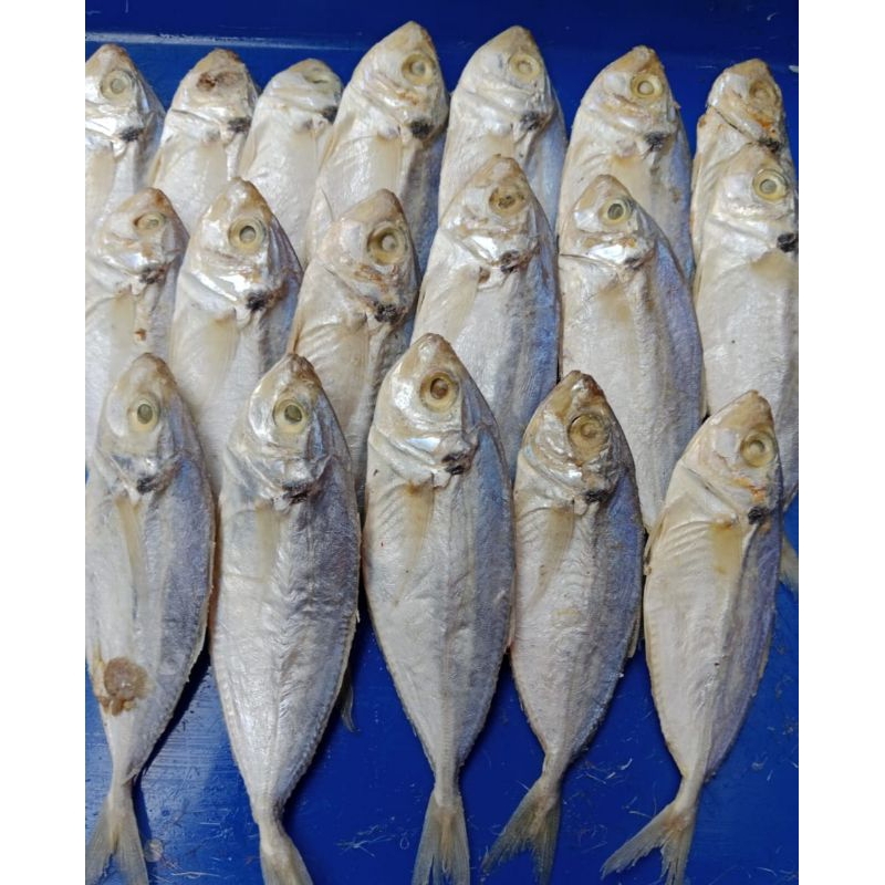 

ikan asin selar