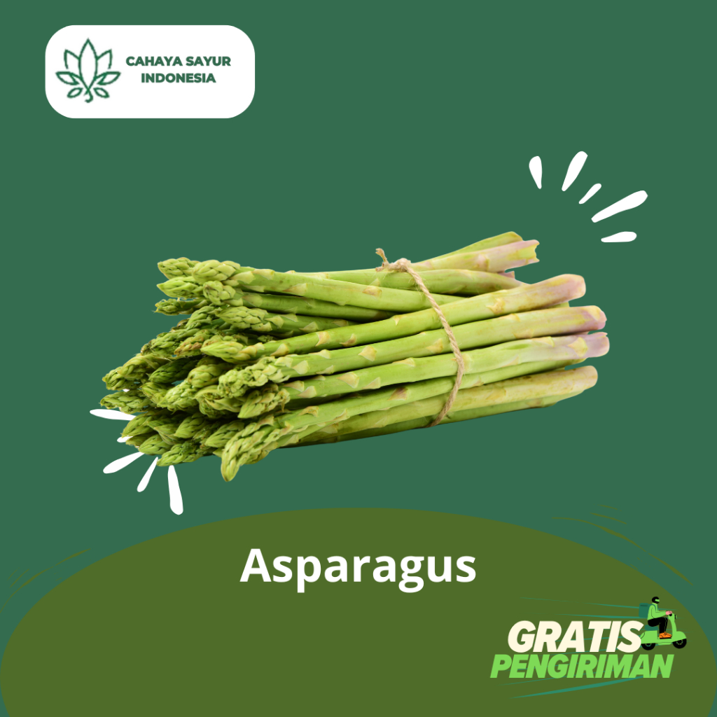 

Asparagus Segar 1kg + Gratis Ongkir
