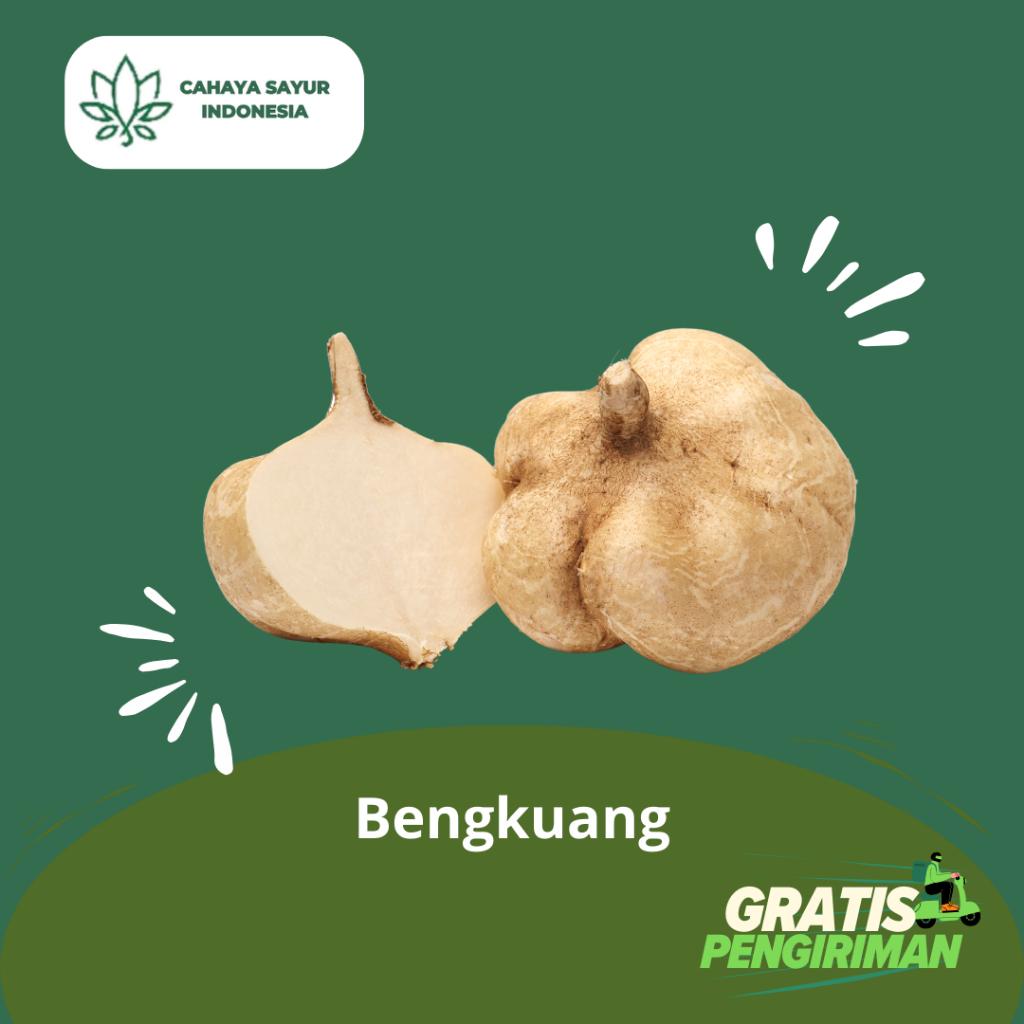 

Bengkuang Segar 1 Kg + Gratis Ongkir