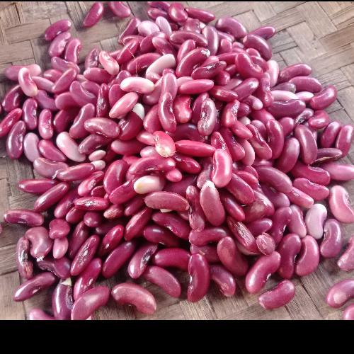 

KACANG Merah KUPAS 250gr Kirim INSTAN