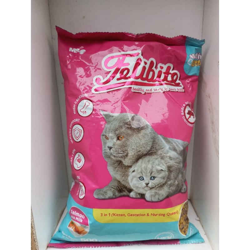 Felibite Mother & Kitten