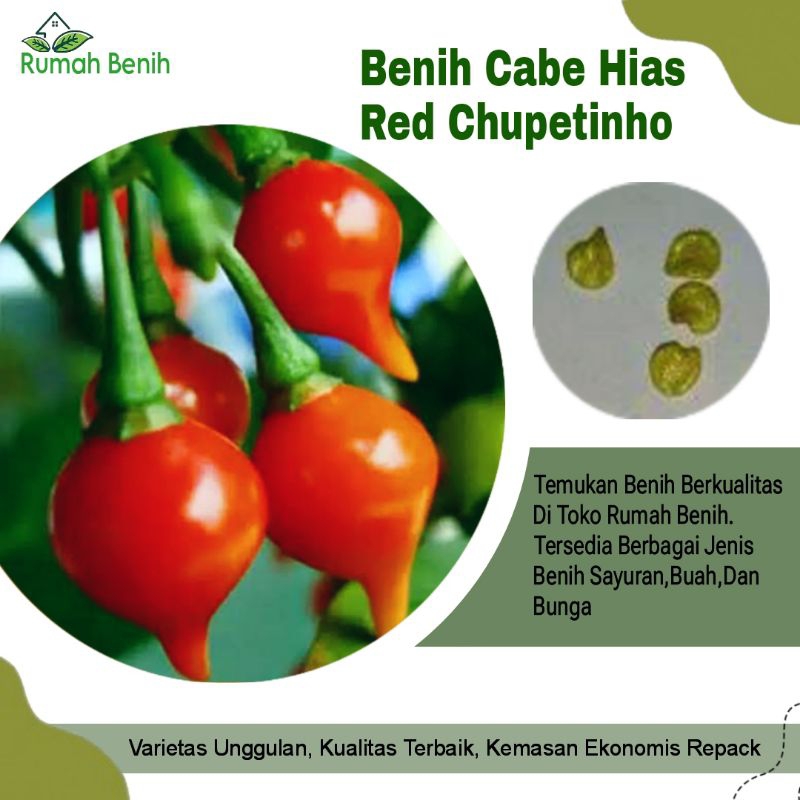 Benih Cabe Chupetinho Merah / Bibit Benih Cabe Red Chupetinho / Biji Benih Cbe Chupetinho / Bibit Ca