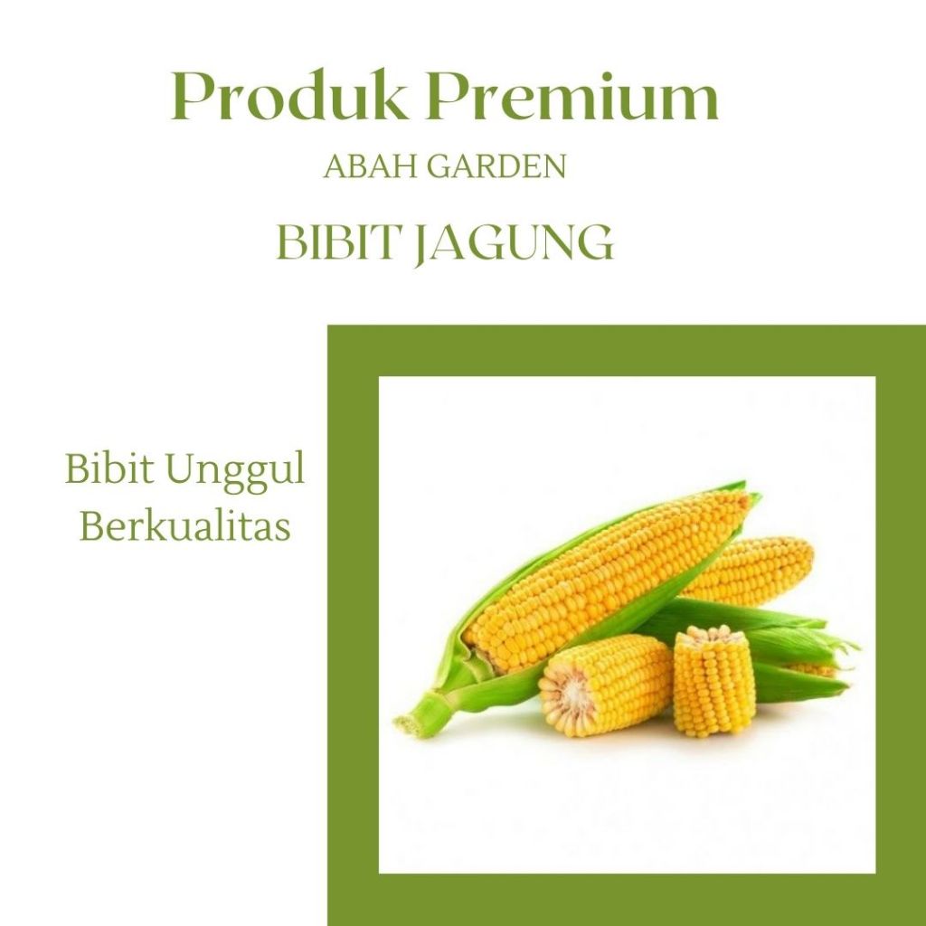 Benih Jagung Manis Bibit Sayuran Jagung Manis Bibit Unggul