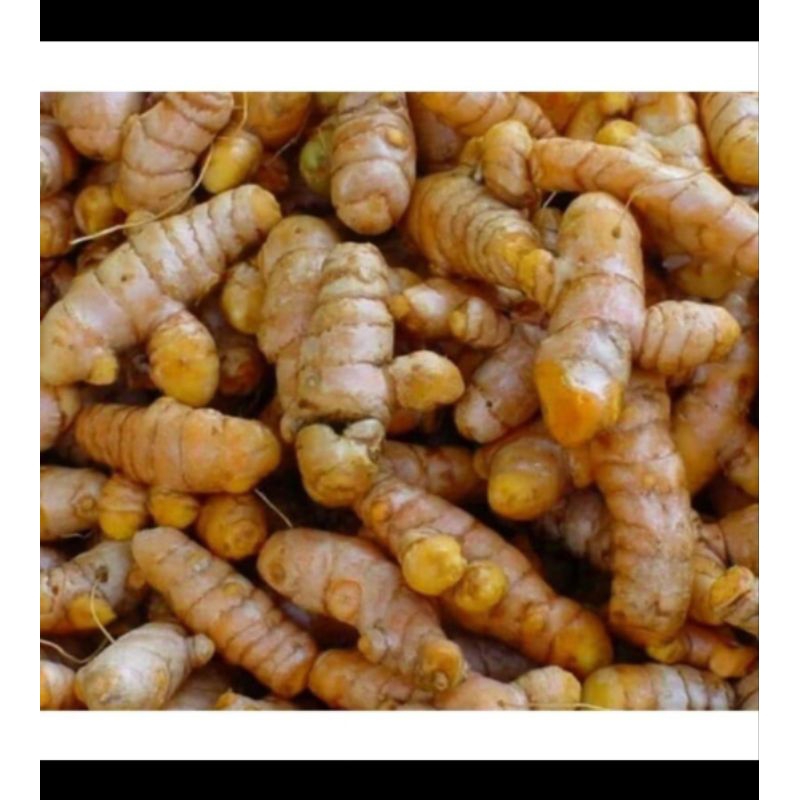 

kunyit/kunir super dan segar 1kg murah