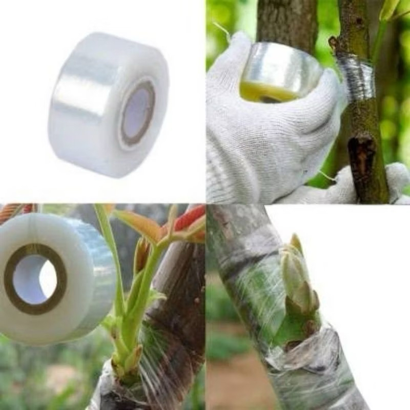 GRAFTING TAPE 3CM PLASTIK OKULASI 3CM PLASTIK Grafting CANGKOK TANAMAN