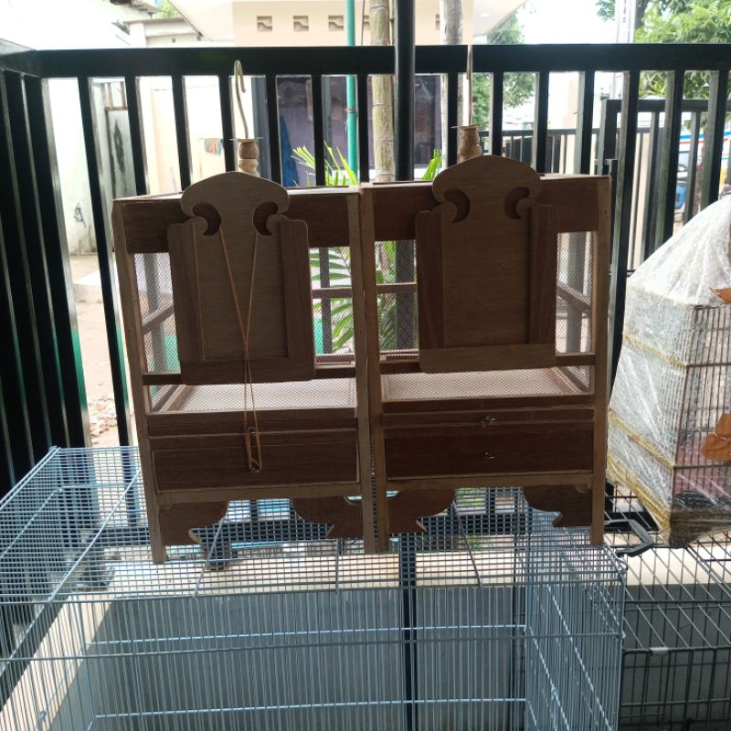 Kandang kotak jangkrik jumbo