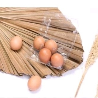 Mika Telur Ayam 6 Lubang Isi 10 pcs Dengan Pengunci