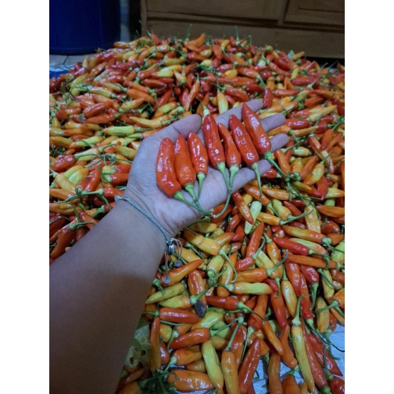 

Cabai Rawit Ori 1kg