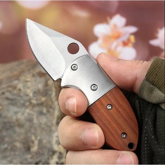 POCKET KNIFE PISAU SAKU LIPAT PISAU LIPAT MINI PISAU CAMPING GAGANG KAYU