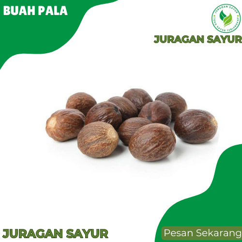 

Juragan Sayur - Buah Pala 1 biji