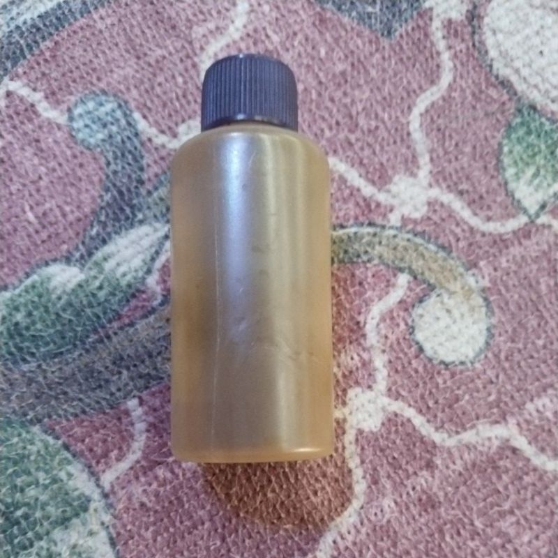 ketapang channa limbata wc