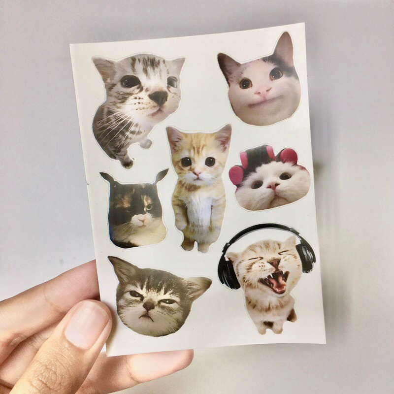 sticker kucing sticker deco sticker hp sticker laptop sticker aesthetic sticker jornaling sticker jo