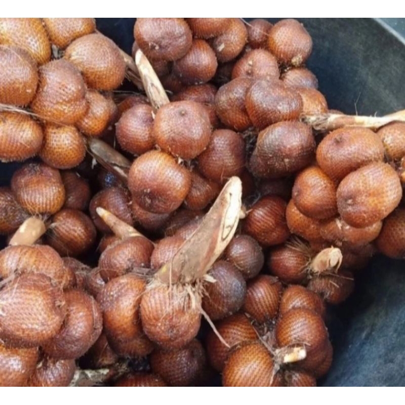 

buah salak manis asem asli Tasikmalaya 1 kg