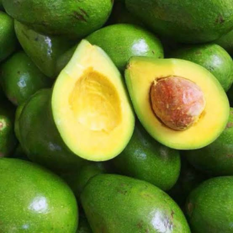 

Alpukat Mentega Premium 1KG