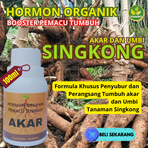 Pupuk Booster Perangsang Akar Singkong/Obat pembesar Umbi Singkong/ Penyubur & Pelebat Umbi Singkong