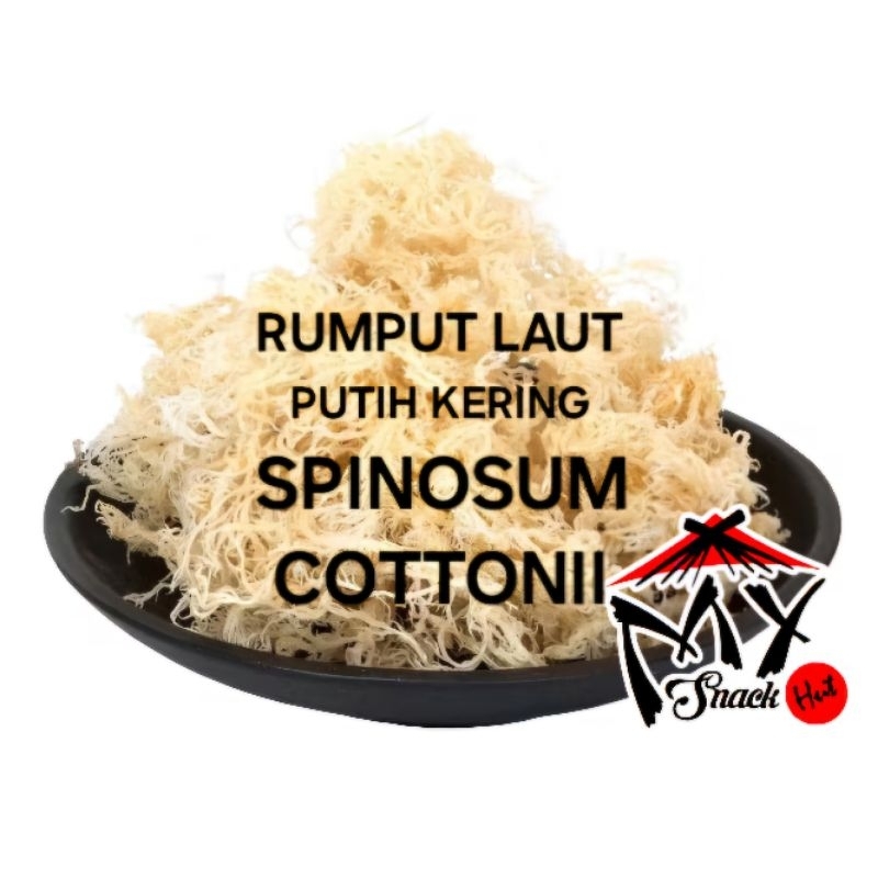 

RUMPUT LAUT PUTIH KERING 250GR DRIED SPINOSUM COTTONI ES CAMPUR SERABUT WHITE SEAWEED KENYAL KRES