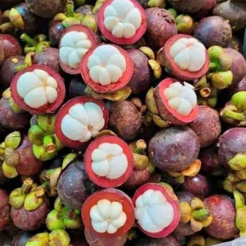 

Buah Manggis 1 KG
