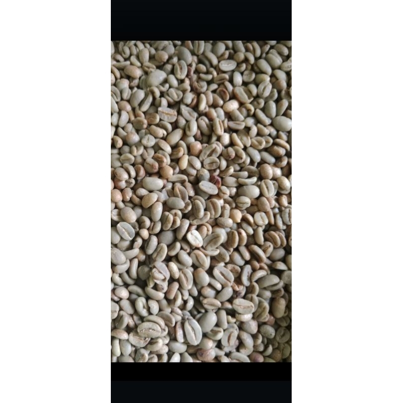 

Biji Greenbean Kopi Full Wash Arabika Gayo Grade 1 Premium