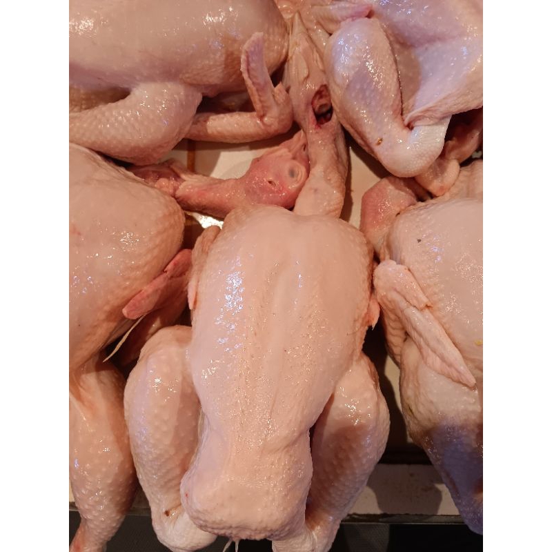 

ayam utuh / potong uk 800gr - 1.kg