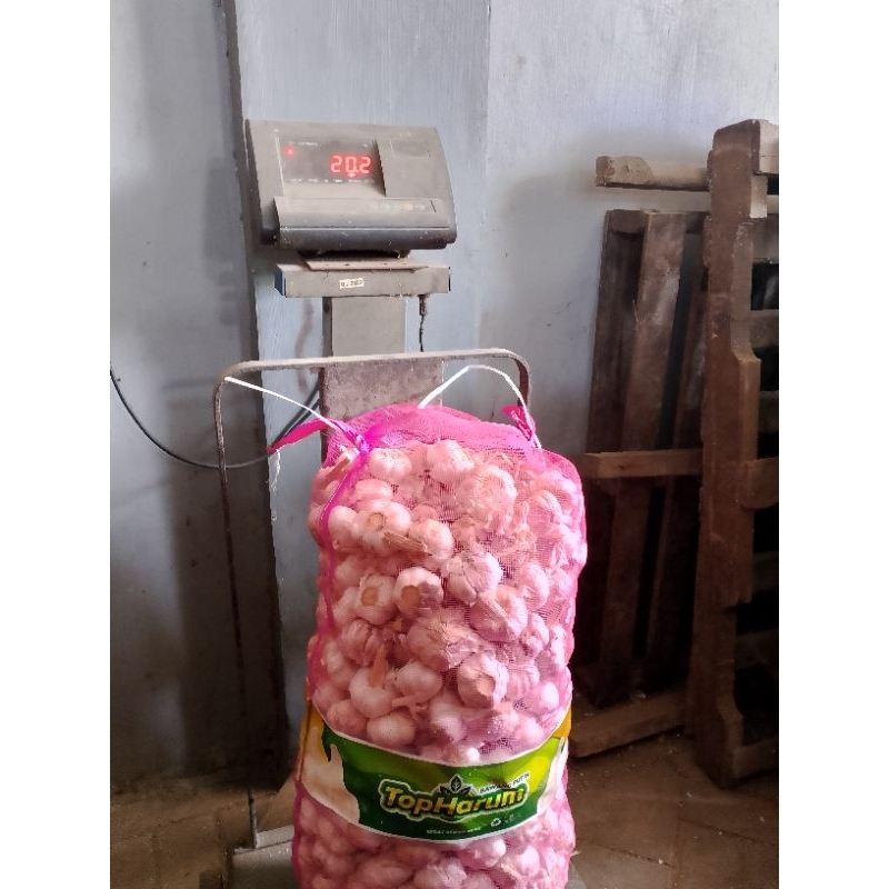 

Bawang putih bersih 1kg