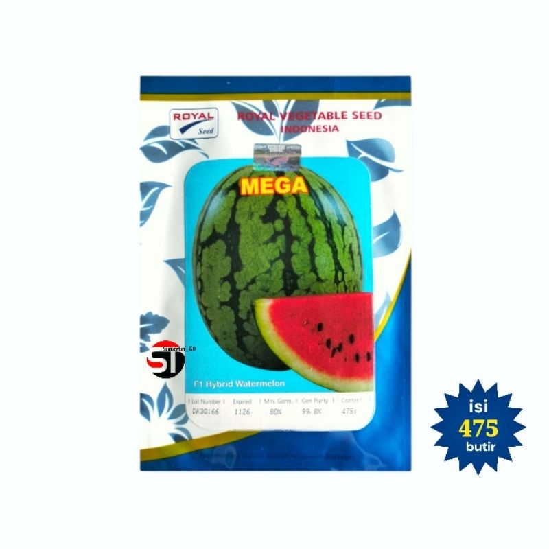 Benih Semangka berbiji MEGA F1 20gr dari Royal seed