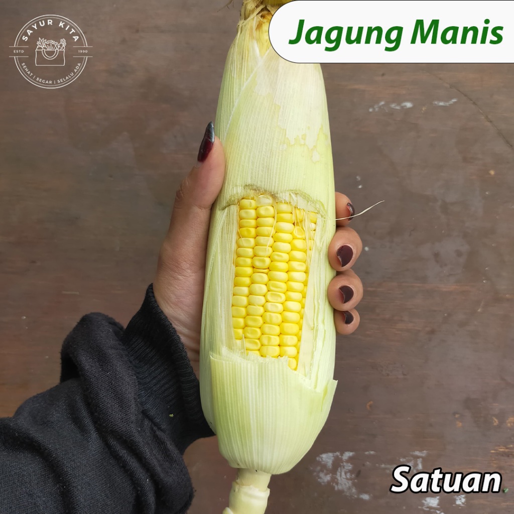 Jagung Manis Mentah Segar | Sayurkita_id