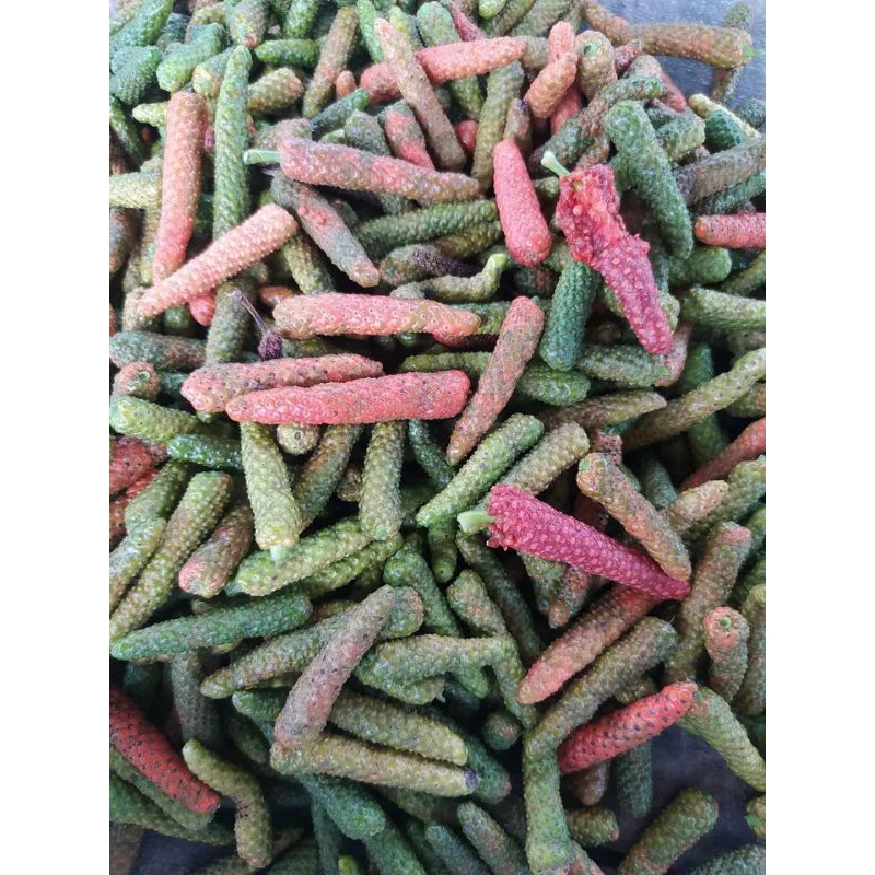 

Cabe Jawa Segar Asli dari Madura