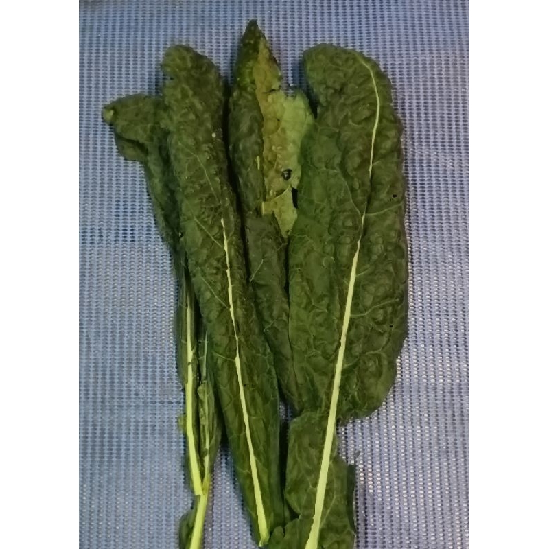 

Kale Organik 250g, Toscano, Curly