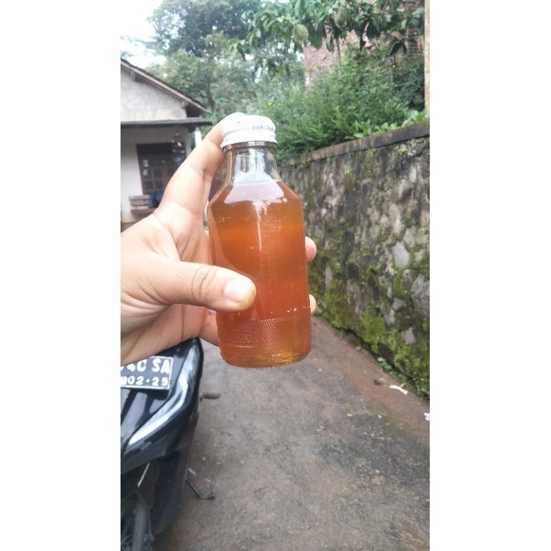 

madu asli tawon