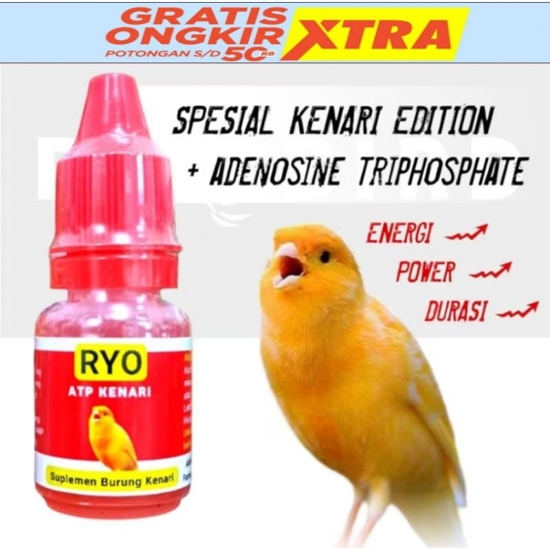 RYO ATP KENARI MENAMBAH POWER STAMINA KENARI