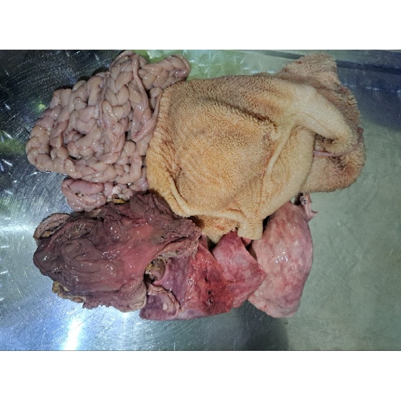 

JEROAN KAMBING CAMPUR